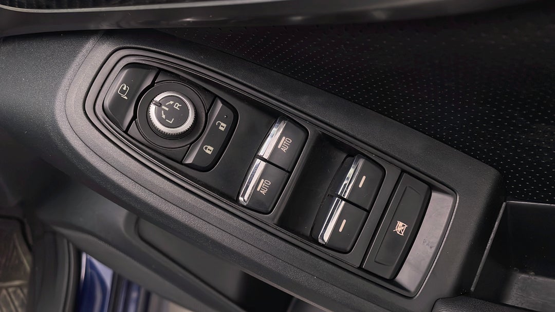 Drivers Side Door Panel Controls