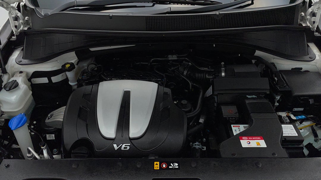 Open Bonet (Engine) View