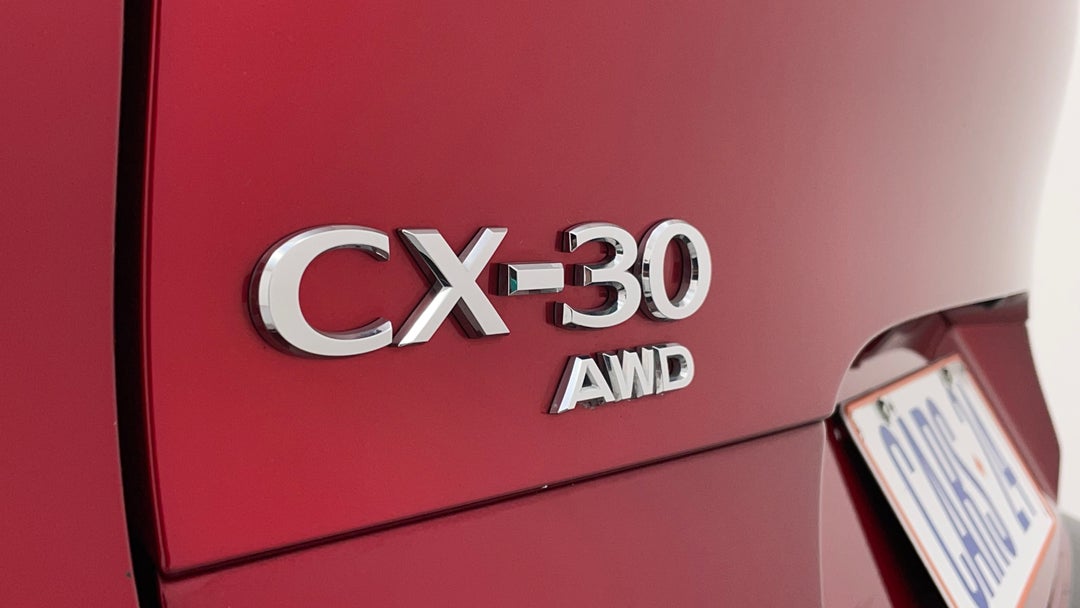 Badge (Boot Left Side)