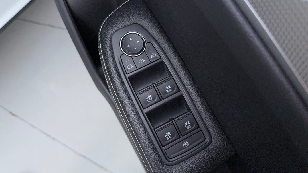 Drivers Side Door Panel Controls