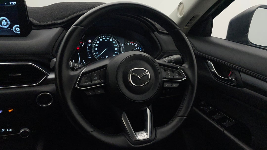Steering Wheel Close-up