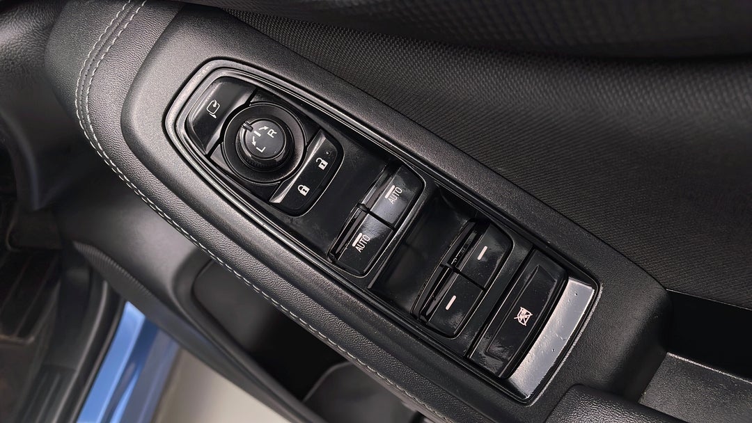 Drivers Side Door Panel Controls