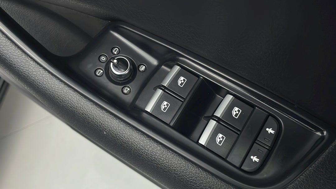 Drivers Side Door Panel Controls