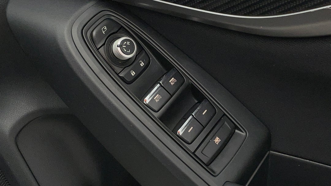 Drivers Side Door Panel Controls