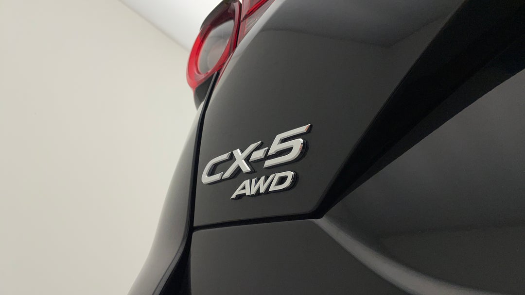 Badge (Boot Left Side)