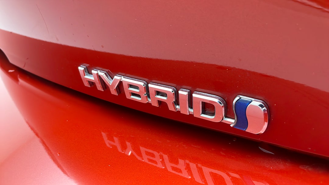 Badge (Boot Right Side)