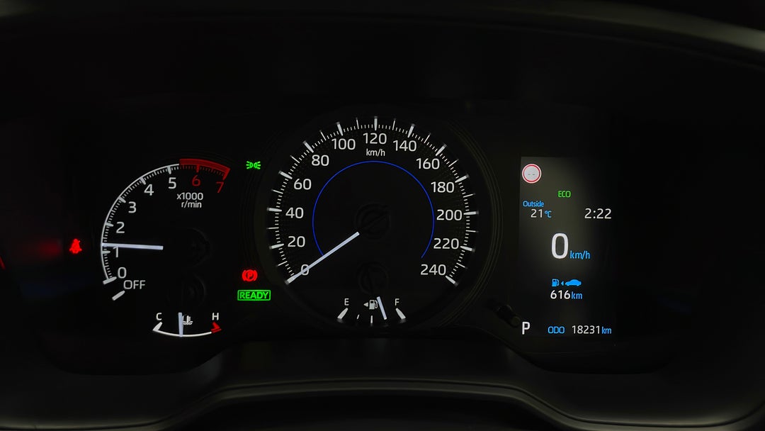 Odometer View
