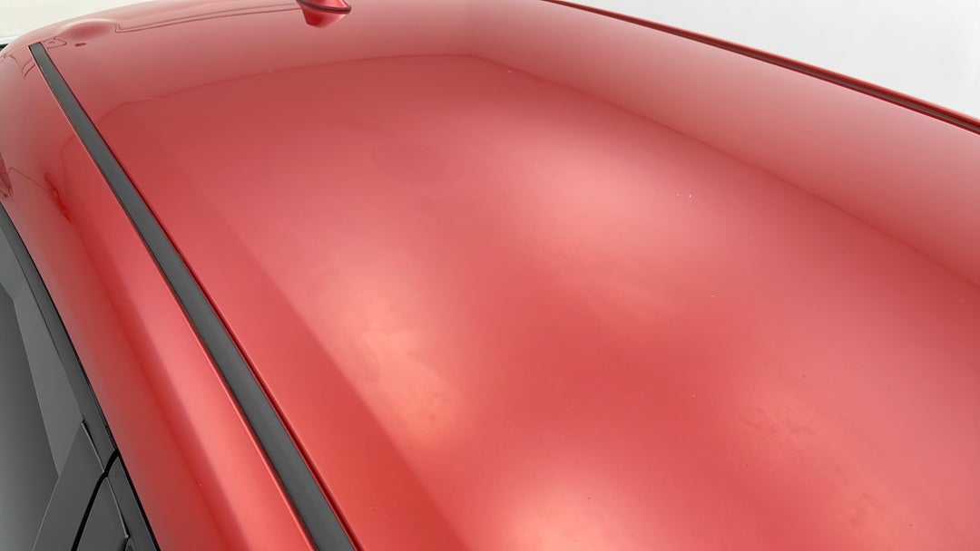 Roof/Sunroof View