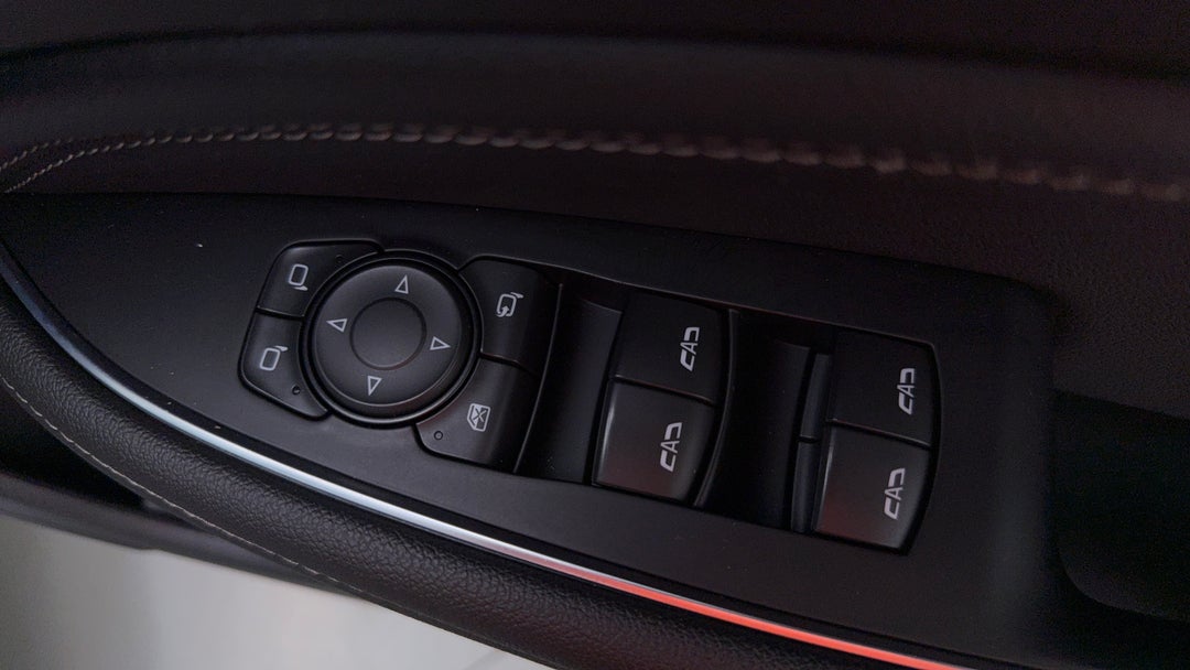 Drivers Side Door Panel Controls