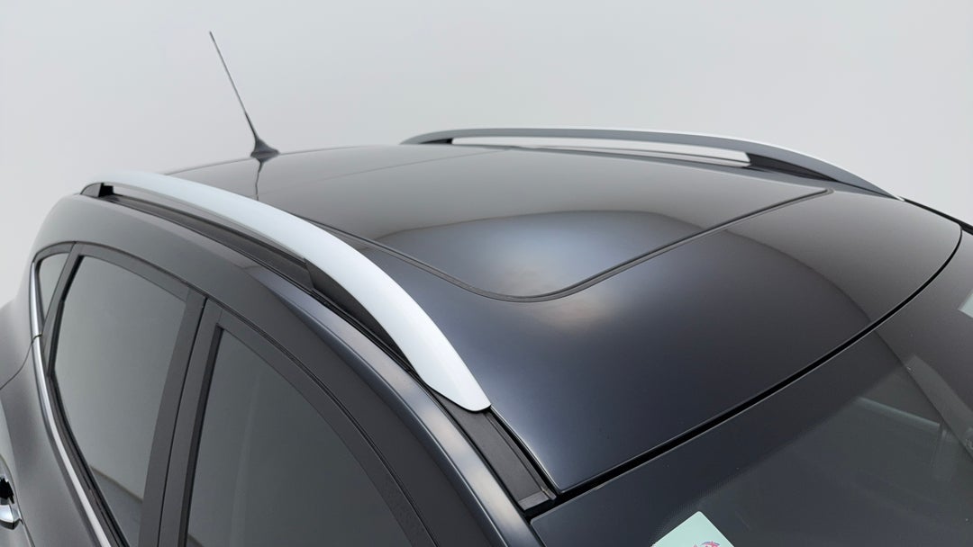 Roof/Sunroof View