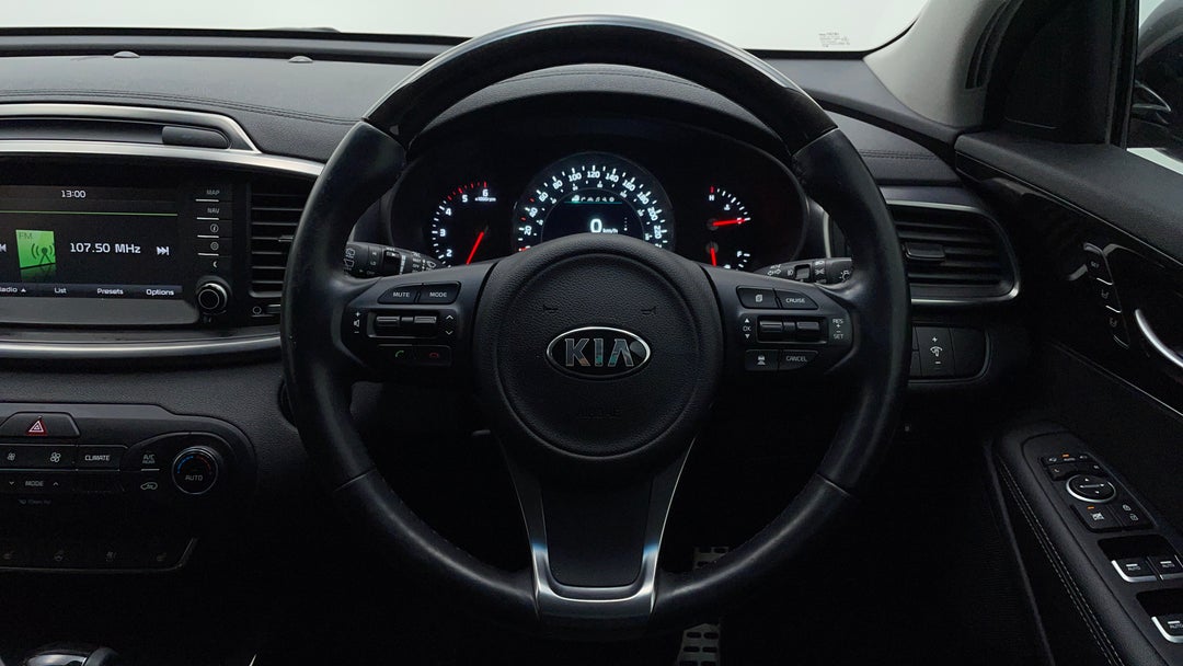 Steering Wheel Close-up