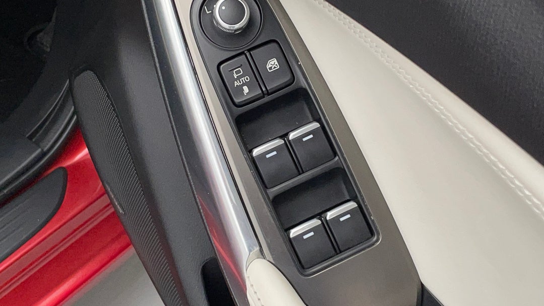 Drivers Side Door Panel Controls