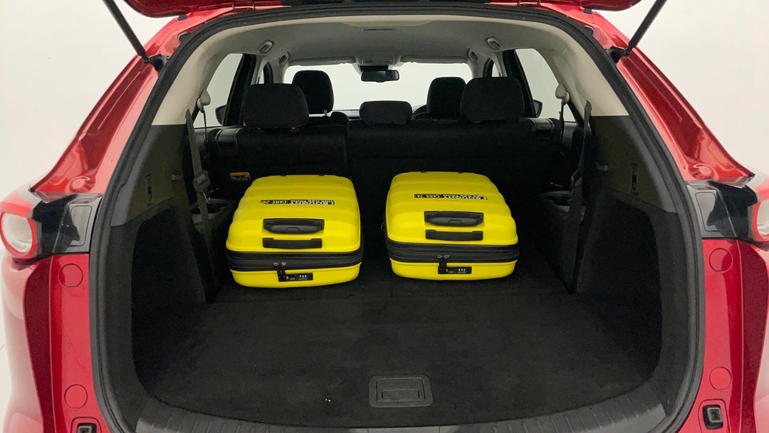 Boot Inside View with Luggage