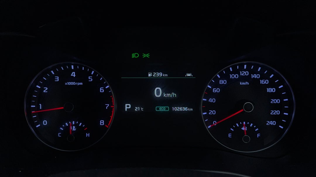 Odometer View