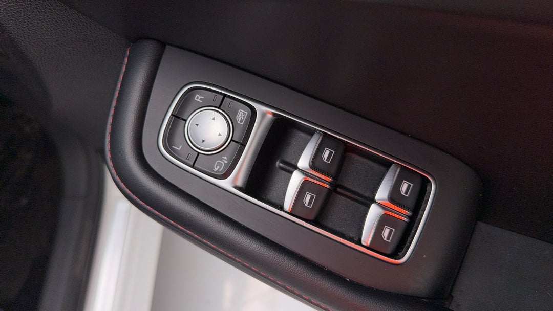 Drivers Side Door Panel Controls