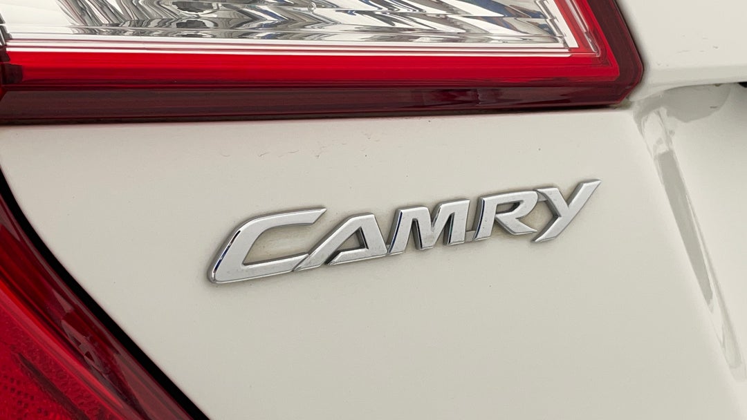 Badge (Boot Left Side)