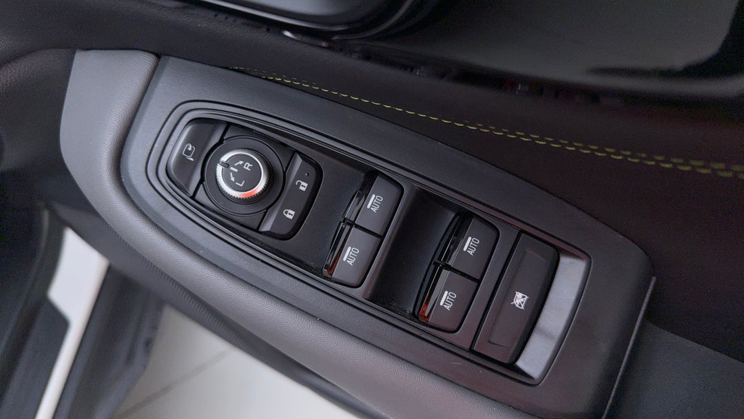 Drivers Side Door Panel Controls