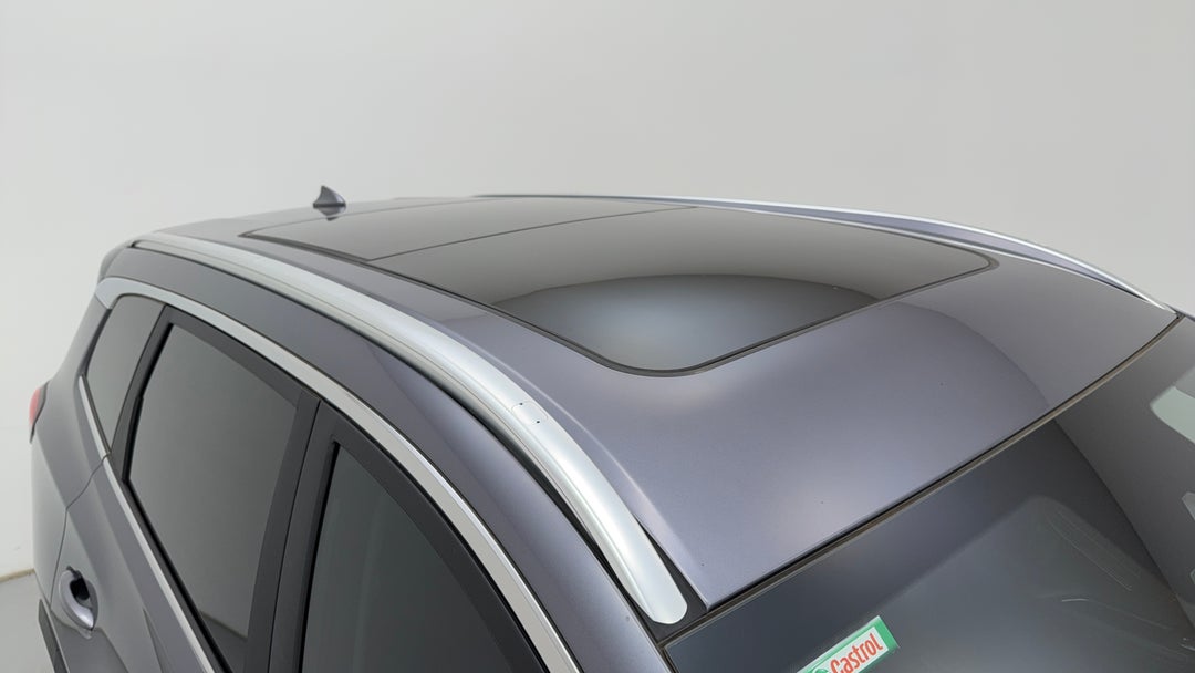 Roof/Sunroof View