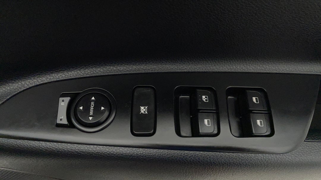 Drivers Side Door Panel Controls
