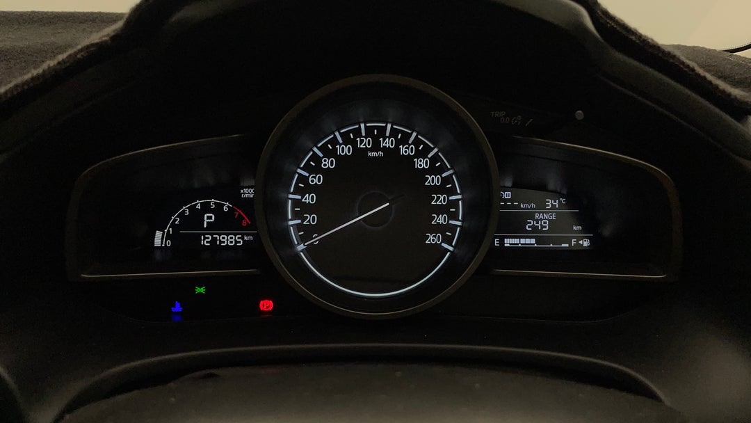 Odometer View