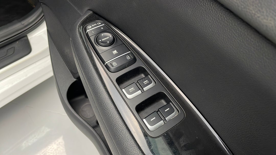 Drivers Side Door Panel Controls