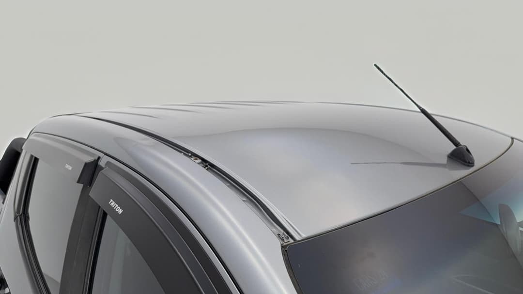 Roof/Sunroof View