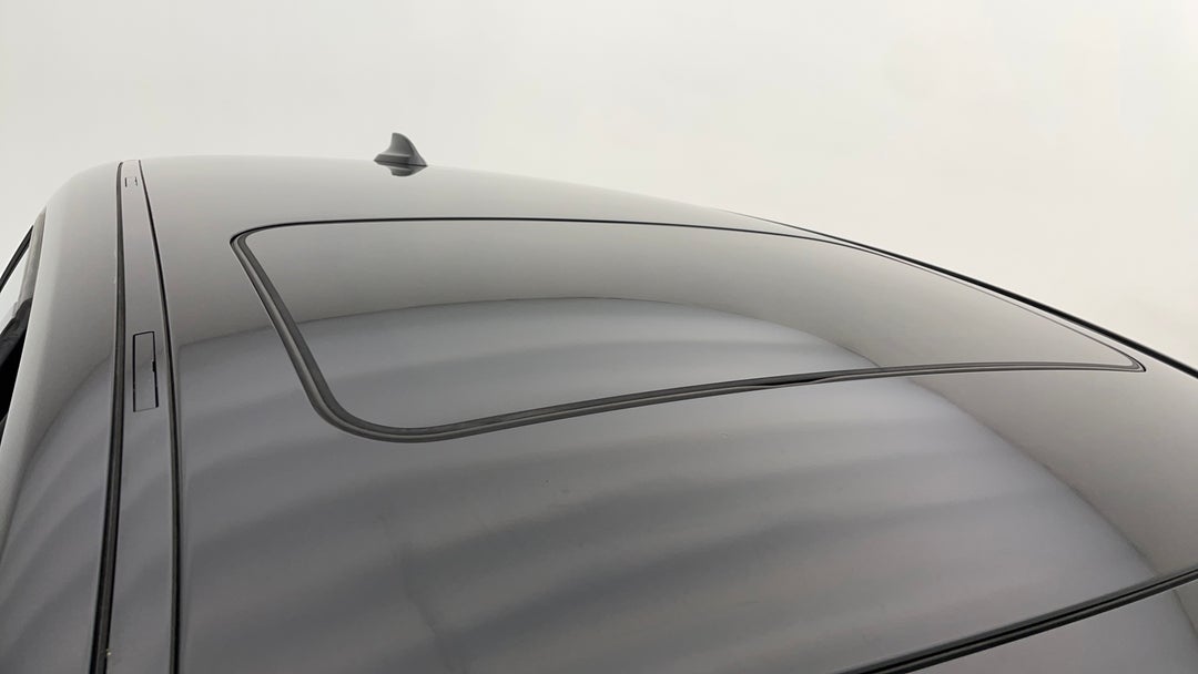 Roof/Sunroof View
