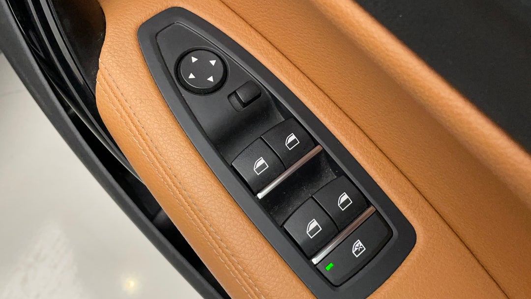 Drivers Side Door Panel Controls