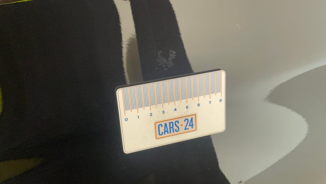 Quarter Panel Front RHS Guard Bird acid