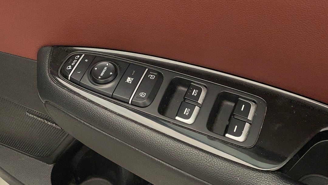 Drivers Side Door Panel Controls
