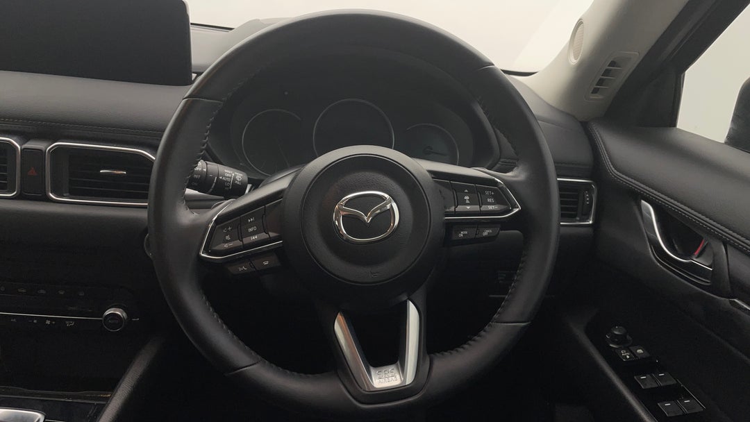 Steering Wheel Close-up