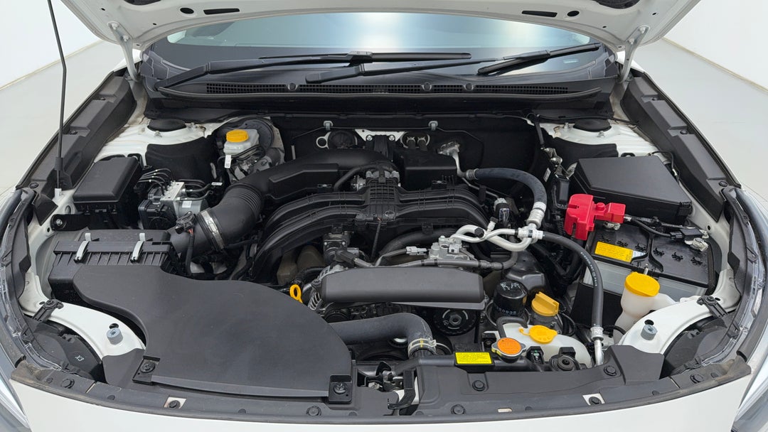 Open Bonnet (Engine)