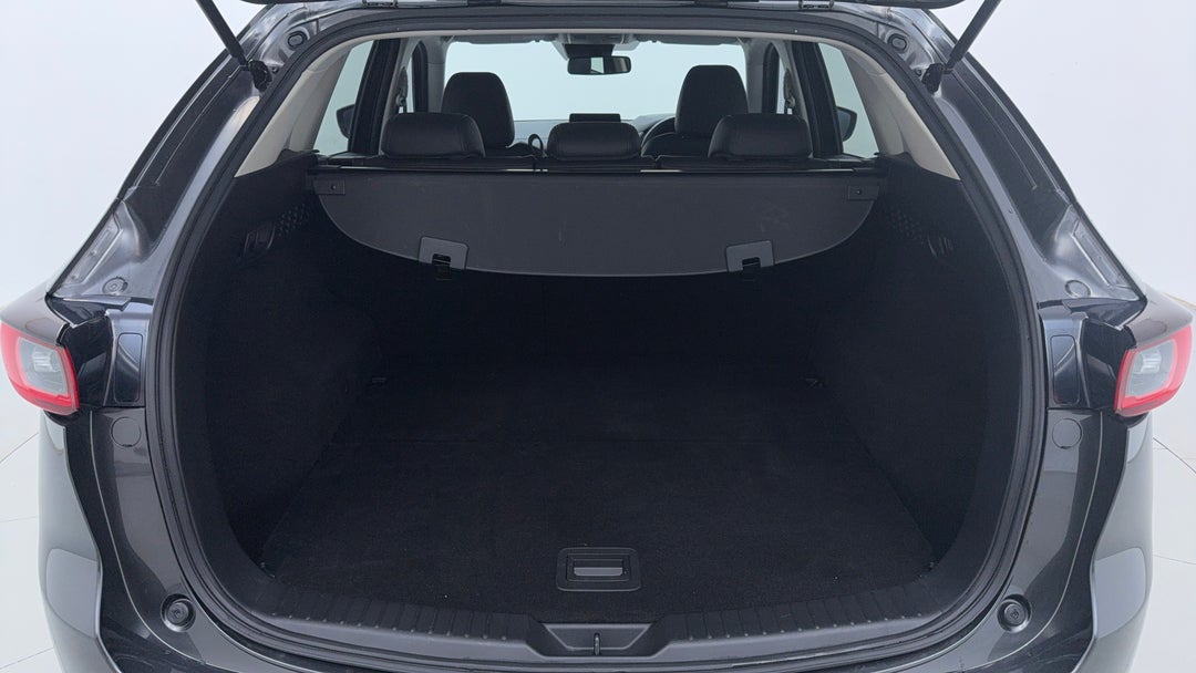 Boot Inside View with Luggage