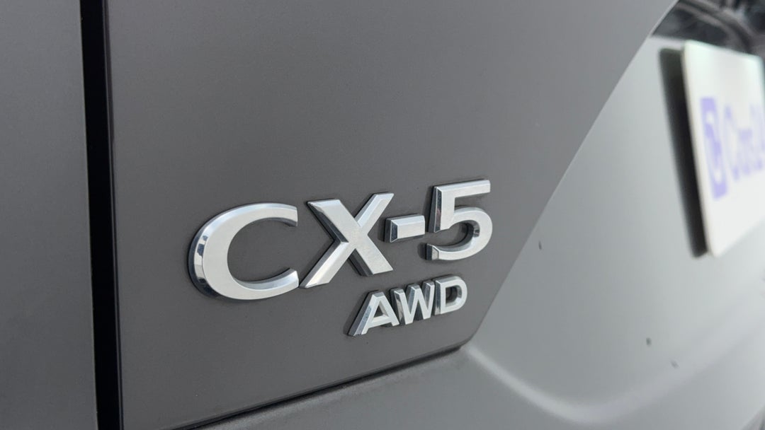 Badge (Boot Left Side)