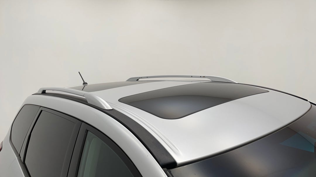 Roof/Sunroof View