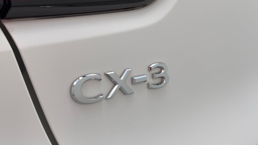 Badge (Boot Left Side)