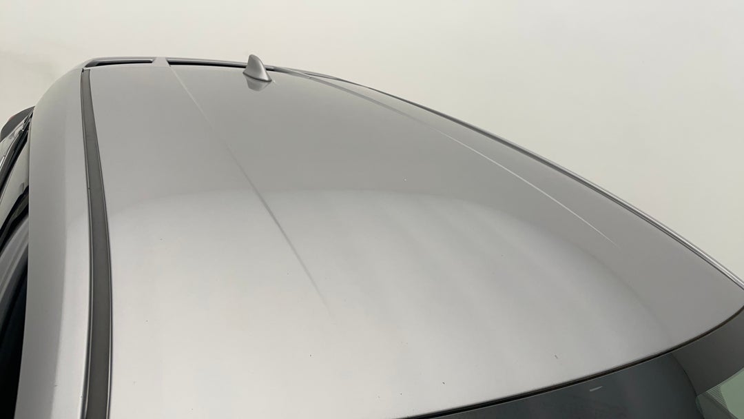 Roof/Sunroof View