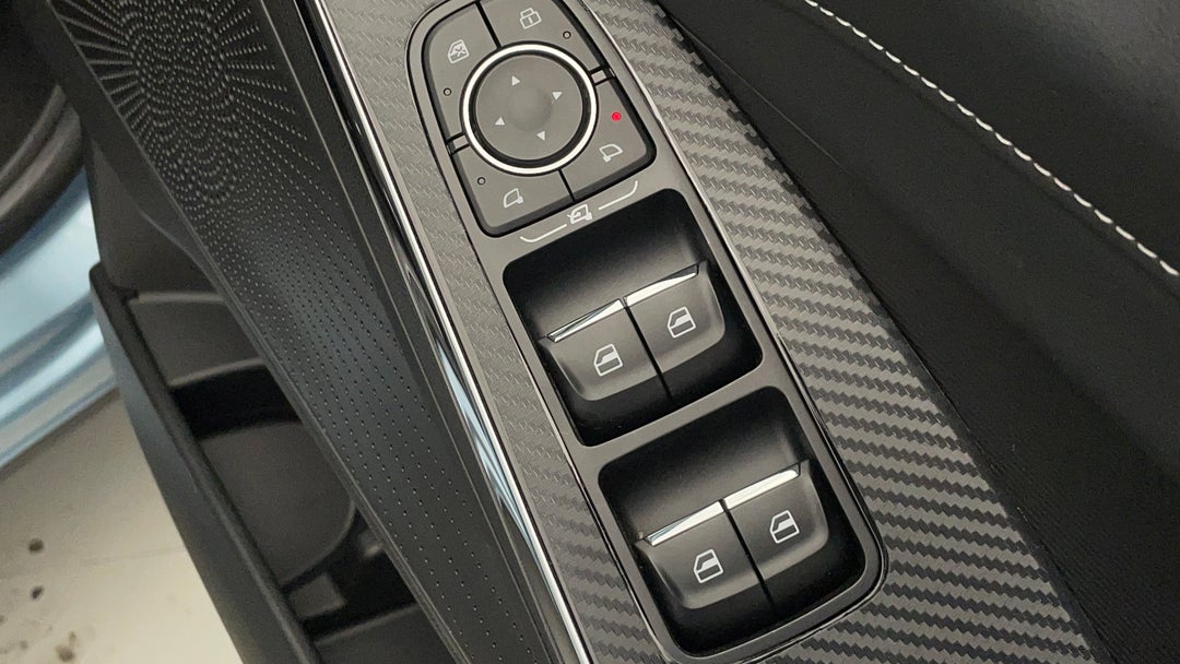 Drivers Side Door Panel Controls