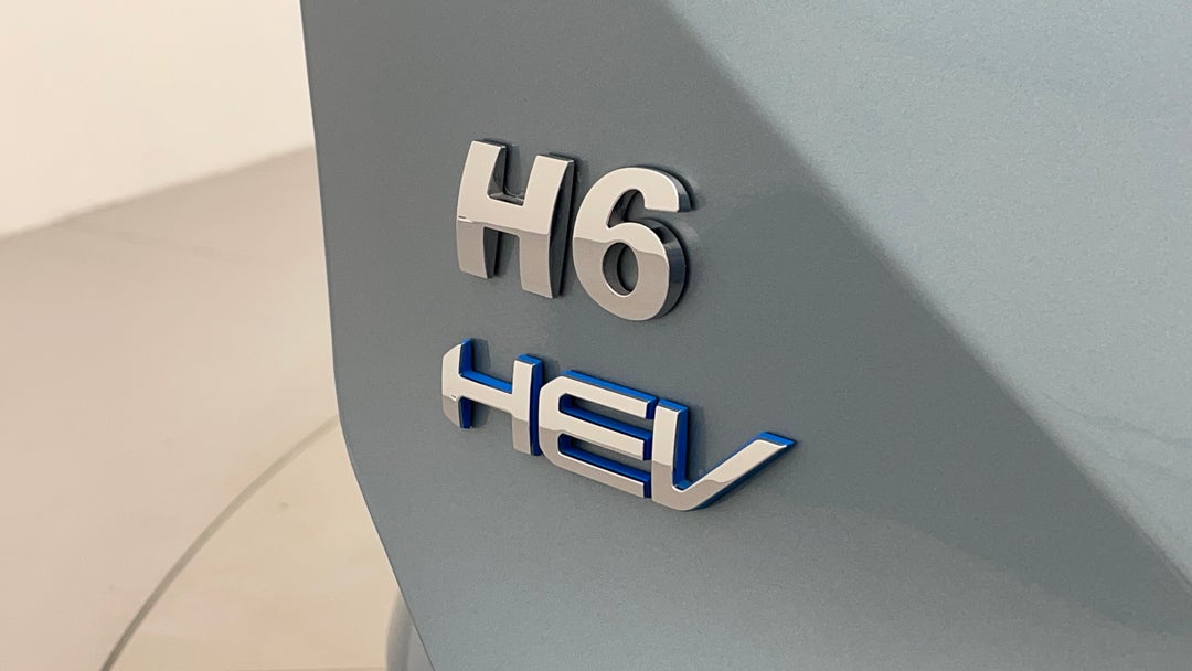 Badge (Boot Left Side)