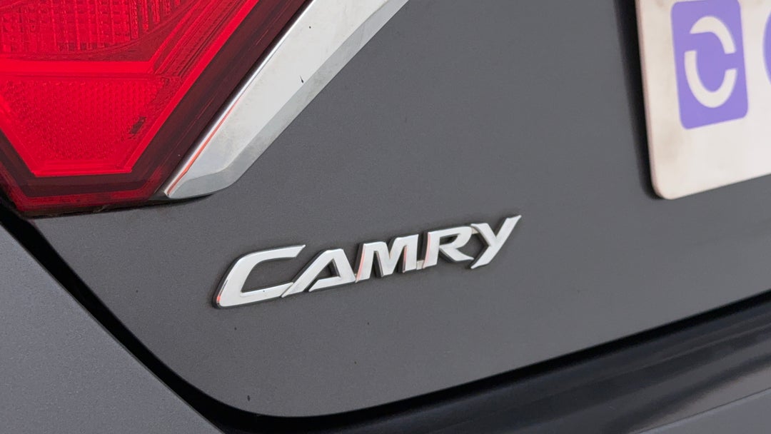 Badge (Boot Left Side)