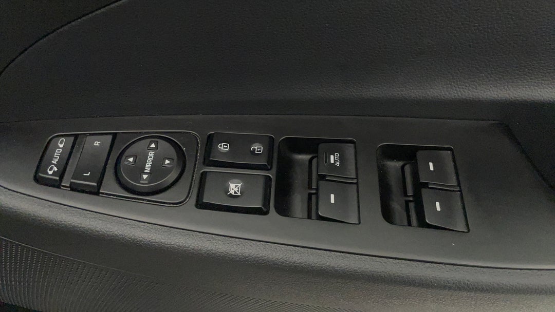 Drivers Side Door Panel Controls