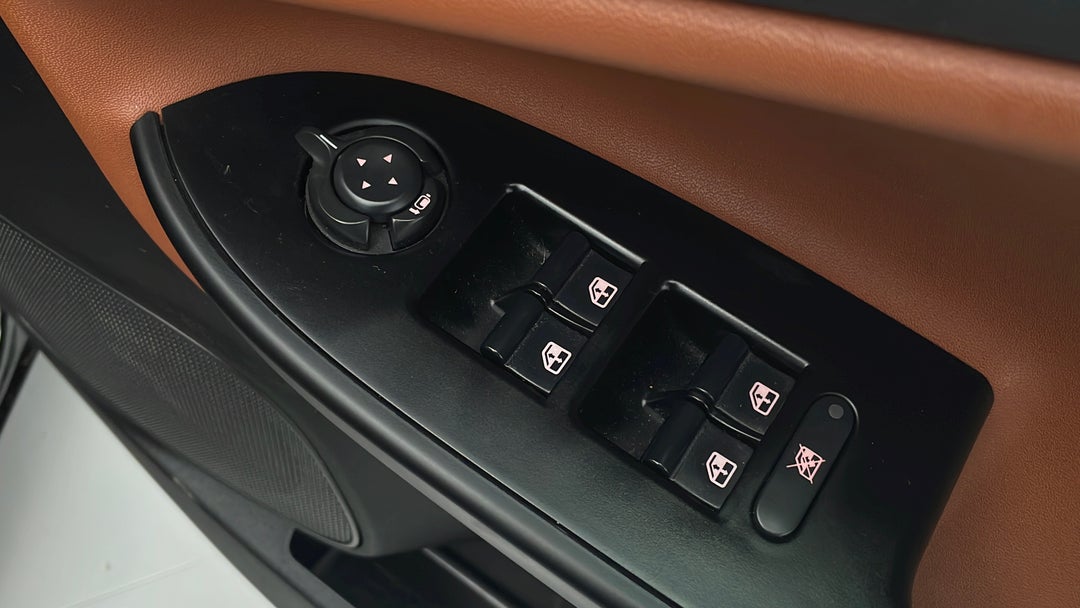 Drivers Side Door Panel Controls
