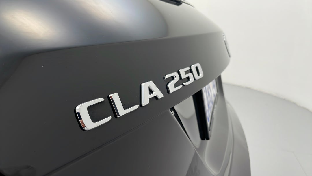 Badge (Boot Left Side)