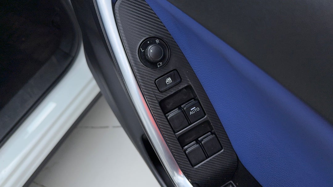 Drivers Side Door Panel Controls