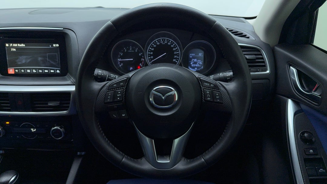 Steering Wheel Close-up