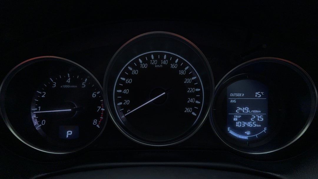 Odometer View