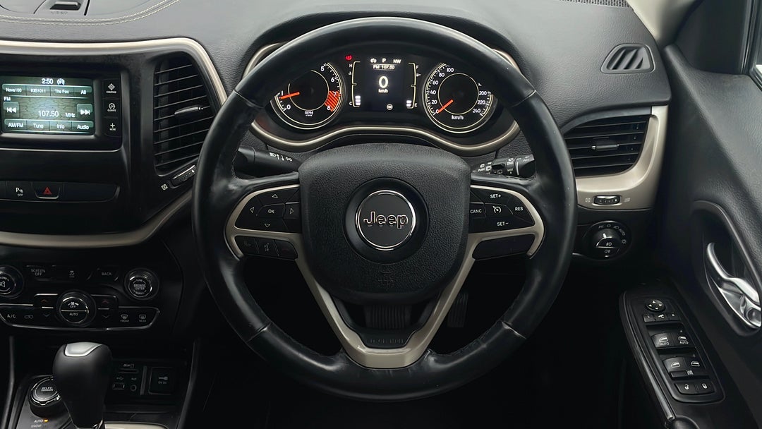 Steering Wheel Close-up