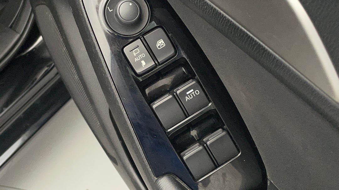 Drivers Side Door Panel Controls