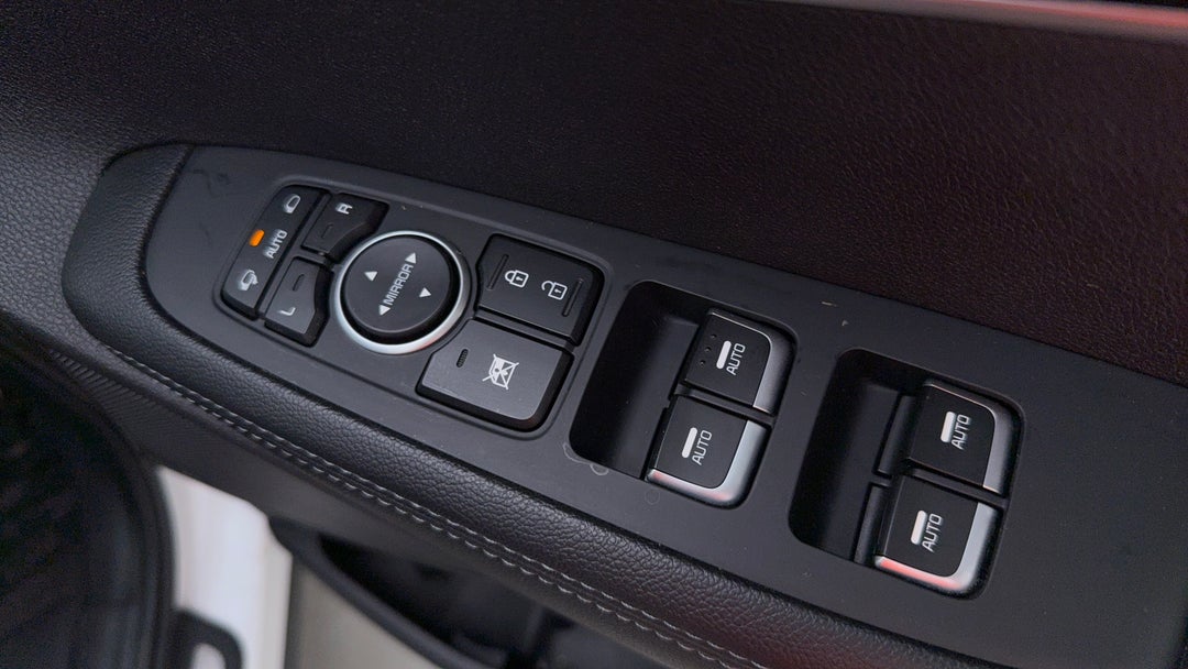 Drivers Side Door Panel Controls