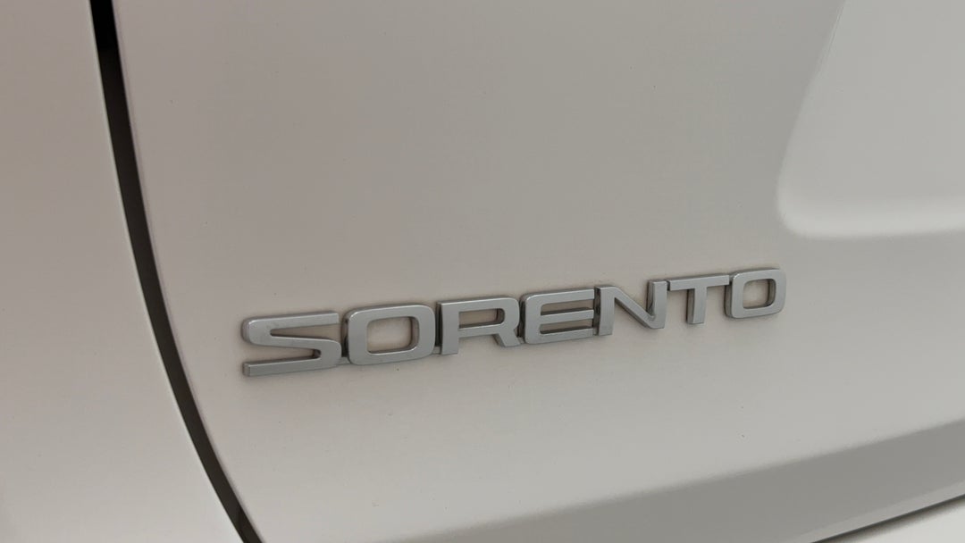 Badge (Boot Left Side)